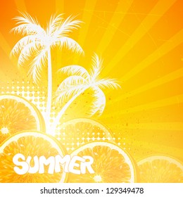 Vector Illustration of a Summer Background with Orange Fruits