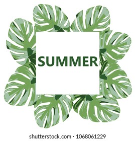 vector illustration of summer background with tropical leaves