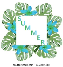 vector illustration of summer background with tropical leaves
