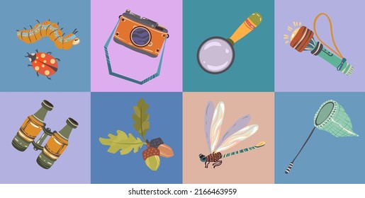 Ilustración vectorial. Campo de verano. Composición con linterna, binoculares, lupa, insectos, cámara, red de mariposa telescópica. Postales, pegatinas