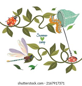 Vector illustration. Summer camp. Composition with plants, ivy, dragonfly, caterpillar, ladybugs. Postcards, stickers
