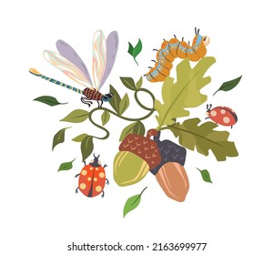 Vector illustration. Summer camp with Oak leaves and acorn, different insects, ladybug, caterpillar, dragonfly. Postcards, stickers