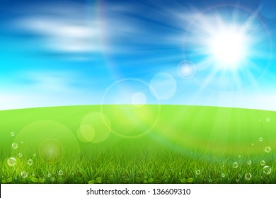 Vector illustration of a summer field