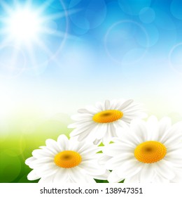 Vector illustration of summer flowers with a beautiful background