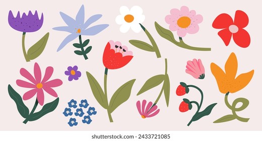 Vector illustration. Summer flowers, spring flowers. Isolated background, design elements. Modern design.