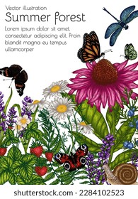 Vector illustration of summer forest flowers and insects. Chamomile, butterfly, dragonfly, echinacea, lavender, snail, fern, strawberry