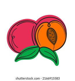 Ilustración vectorial de la fruta de verano peache rojo una línea con llenado abstracto.