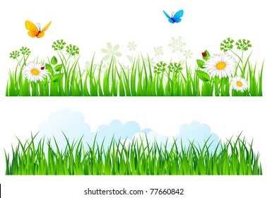 Vector illustration of Summer grass