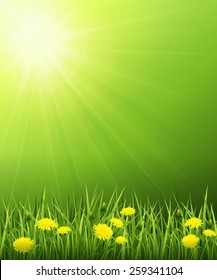 Vector illustration of a summer landscape with bright sun