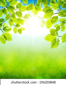 Vector illustration summer landscape with green leaves