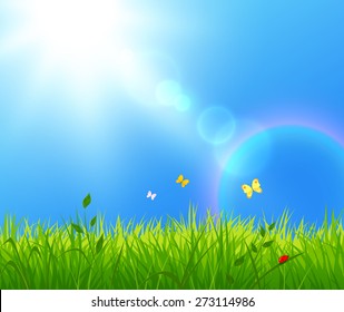 Vector illustration of summer landscape with sunlight.