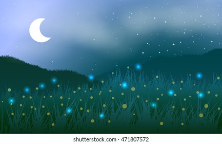 Vector illustration. Summer. Meadows at night.