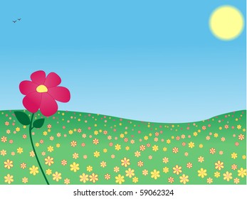 vector illustration summer meadows with a single flower