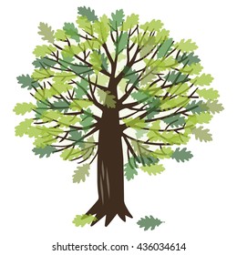 Vector illustration with a summer oak tree that has green leaves