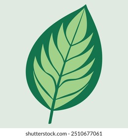 Vector illustration of a summer palm leaf, isolated on a light green backdrop, depicting exotic nature. Illustration of a jungle