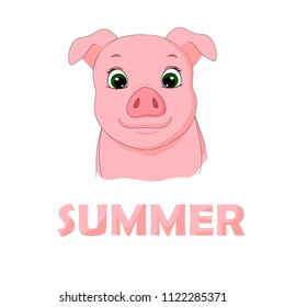 vector illustration   summer  pig
