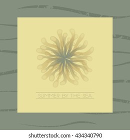 vector illustration summer poster with seaweed symbol and note saying summer by the sea
