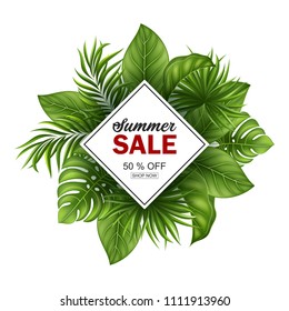 Vector Illustration Summer sale banner with tropical leaves for promotion