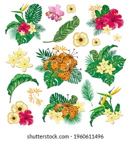 Vector illustration summer set of tropical leaves and flowers. Trendy monstera leaves isolated. Design for logo