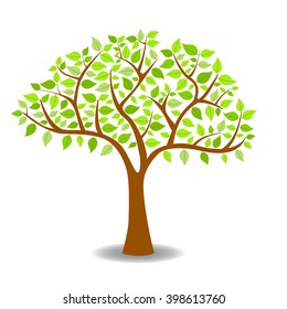 Vector illustration of a summer tree with green leafs on white