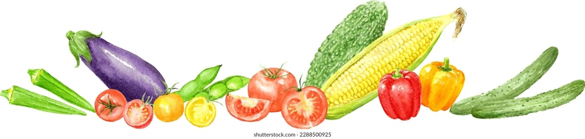 Vector illustration of summer vegetable decoration painted by watercolor