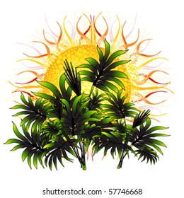 vector illustration of sun