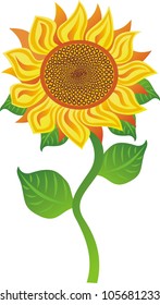 Vector illustration of sunflower