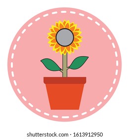 
vector illustration of a sunflower