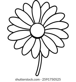 vector illustration of a sunflower