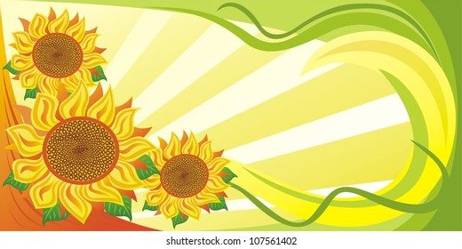 Vector illustration of sunflower background