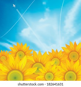 Vector illustration of sunflower with blue sky.
