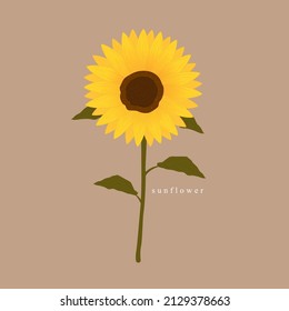 Vector illustration of sunflower. Bouquet of flowers. Sunflowers. Hand-painted. Isolated background.