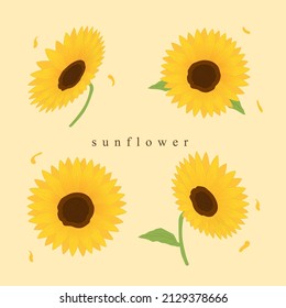 Vector illustration of sunflower. Bouquet of flowers. Sunflowers. Hand-painted. Isolated background.