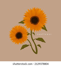 Vector illustration of sunflower. Bouquet of flowers. Sunflowers. Hand-painted. Isolated background.