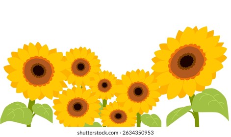 Vector illustration of a sunflower facing upwards