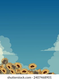 Vector illustration. Sunflower field, bloom, poster, postcard, banner.