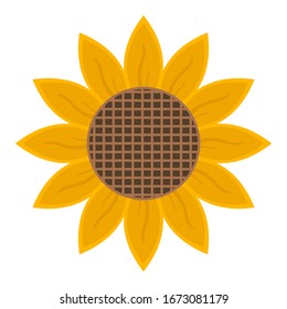 Vector illustration of a sunflower in a flat, isolated sunflower style on a white background.