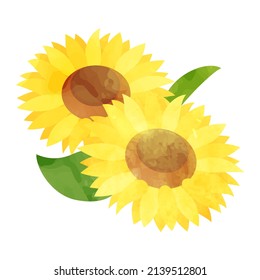 Vector illustration of sunflower flowers