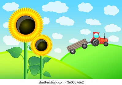 The vector illustration of the sunflower on the sky background