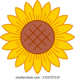 Vector illustration of sunflower with outline.