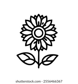 Vector illustration of a sunflower plant. Sunflower flower. Line art isolated on white background.