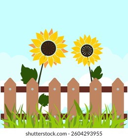 vector illustration of sunflower scenery