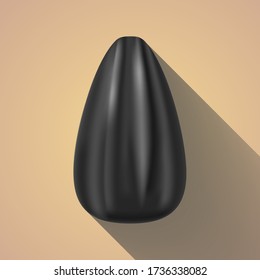 vector illustration of sunflower seed