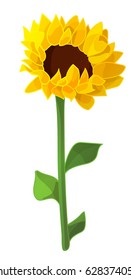 vector illustration sunflower seed head. Clipart isolated on transparent background. Hand drawn graphics. Nature design element. Cartoon Plant. 02