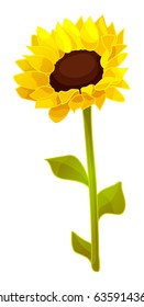 vector illustration sunflower seed head. Clipart isolated on transparent background. Hand drawn graphics. Nature design element. Cartoon Plant. 06
