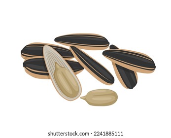 Vector illustration, sunflower seeds, isolated on white background.