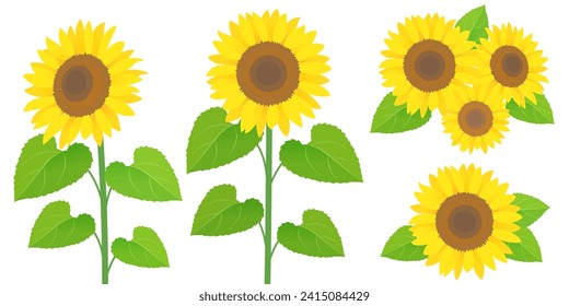 Ilustración vectorial del conjunto de girasoles