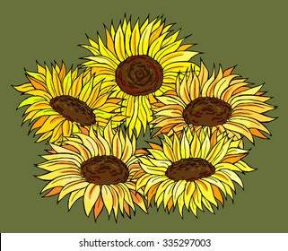Vector illustration of sunflowers