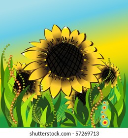 vector illustration of sunflowers