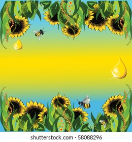 vector illustration of sunflowers